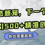 微信生态新宠小绿书：下一个流量洼地，日引500+精准创业粉，粉丝质量超高