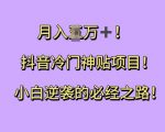 抖音冷门神贴项目，小白逆袭的必经之路，月入过W【揭秘】