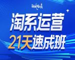 淘系运营21天速成班35期，年前最后一波和2025方向