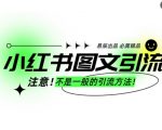 小红书图文引流创业粉，最稳引流方法，日引300+可批量操作