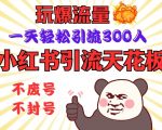 小红书引流天花板，玩爆流量，一天轻松引流300人，安全操作