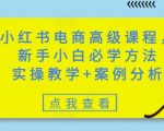 小红书电商高级课程，新手小白必学方法，实操教学+案例分析